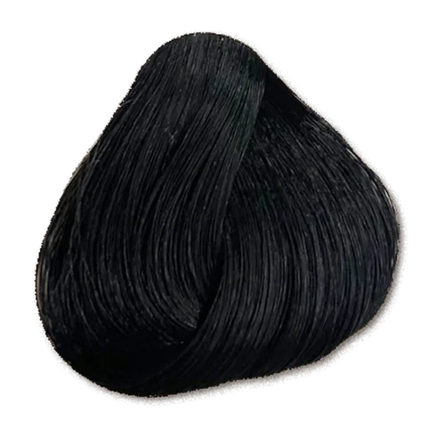 WELLCOLOR 2/0 — Black Natural