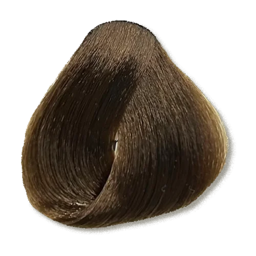 WELLCOLOR 6/0 — Natural Dark Blond