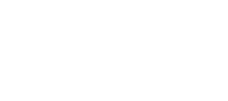 Wellumina Professional